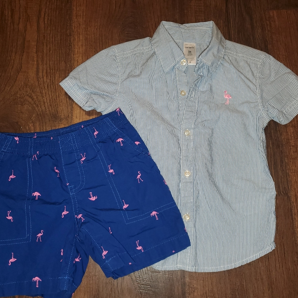 Carter's toddler boy 2 piece set